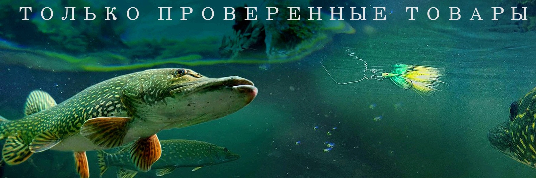 Ловчие снасти
